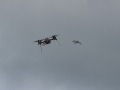 copteraction-5dba9f71eb094b04399d0931b2e5f25b5c6fa4c2