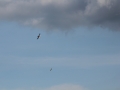 img_7502-db9414c260d080f6467cc8dea58ebc6080dca8b5