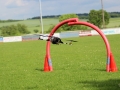 parcour-bae7521af876ea307d5bc94aacab247dca4e9ce4